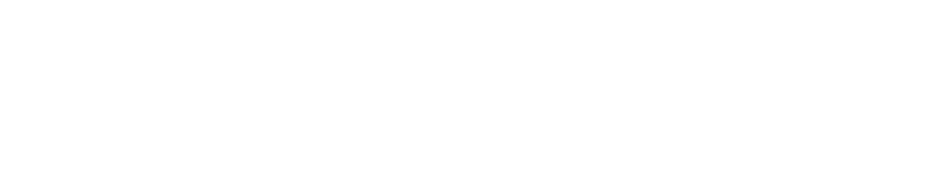 II Consultings logo